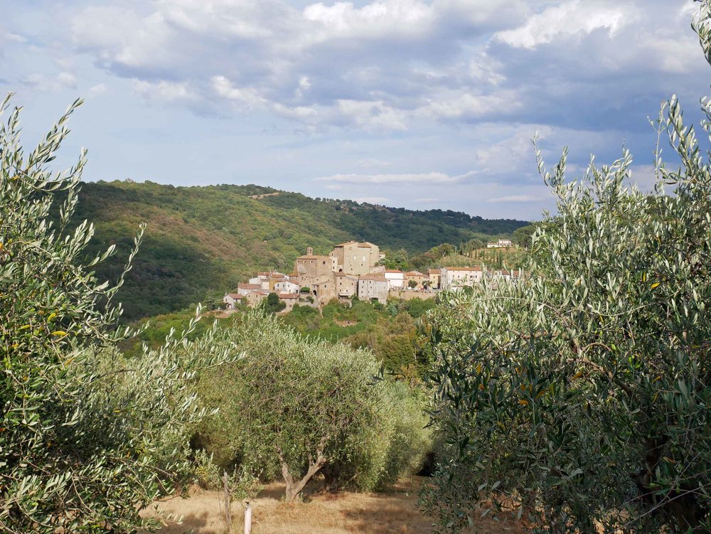  We couldn't believe our luck, arriving to our oasis among the olives--a quaint cottage with a killer view (July 15). 