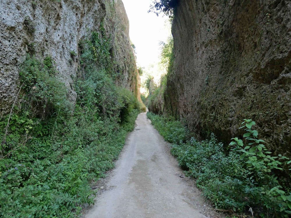  Other days, we took short trips around the area. For example, Vie Cave, which are ancient trails cut through the Etruscan hills (July 18). 