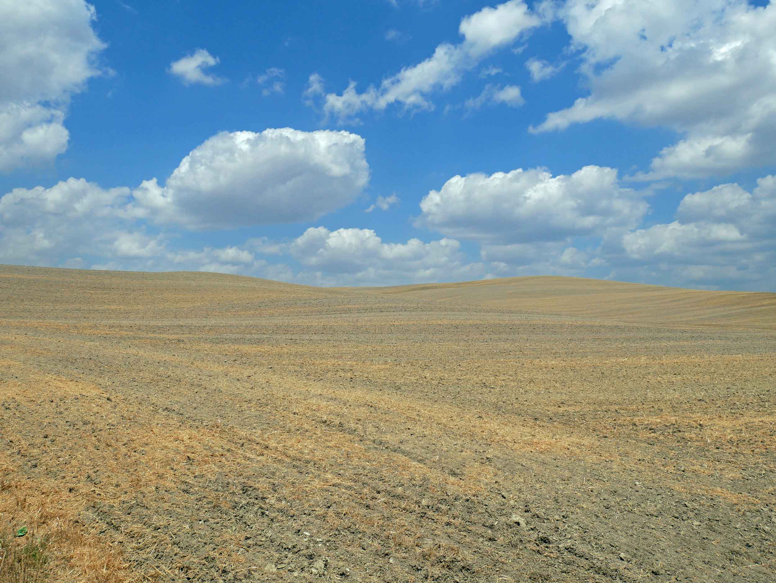  Big white fluffy clouds dotted the blue sky against yellowed fields,&nbsp;creating a real life Tuscan painting.&nbsp; 