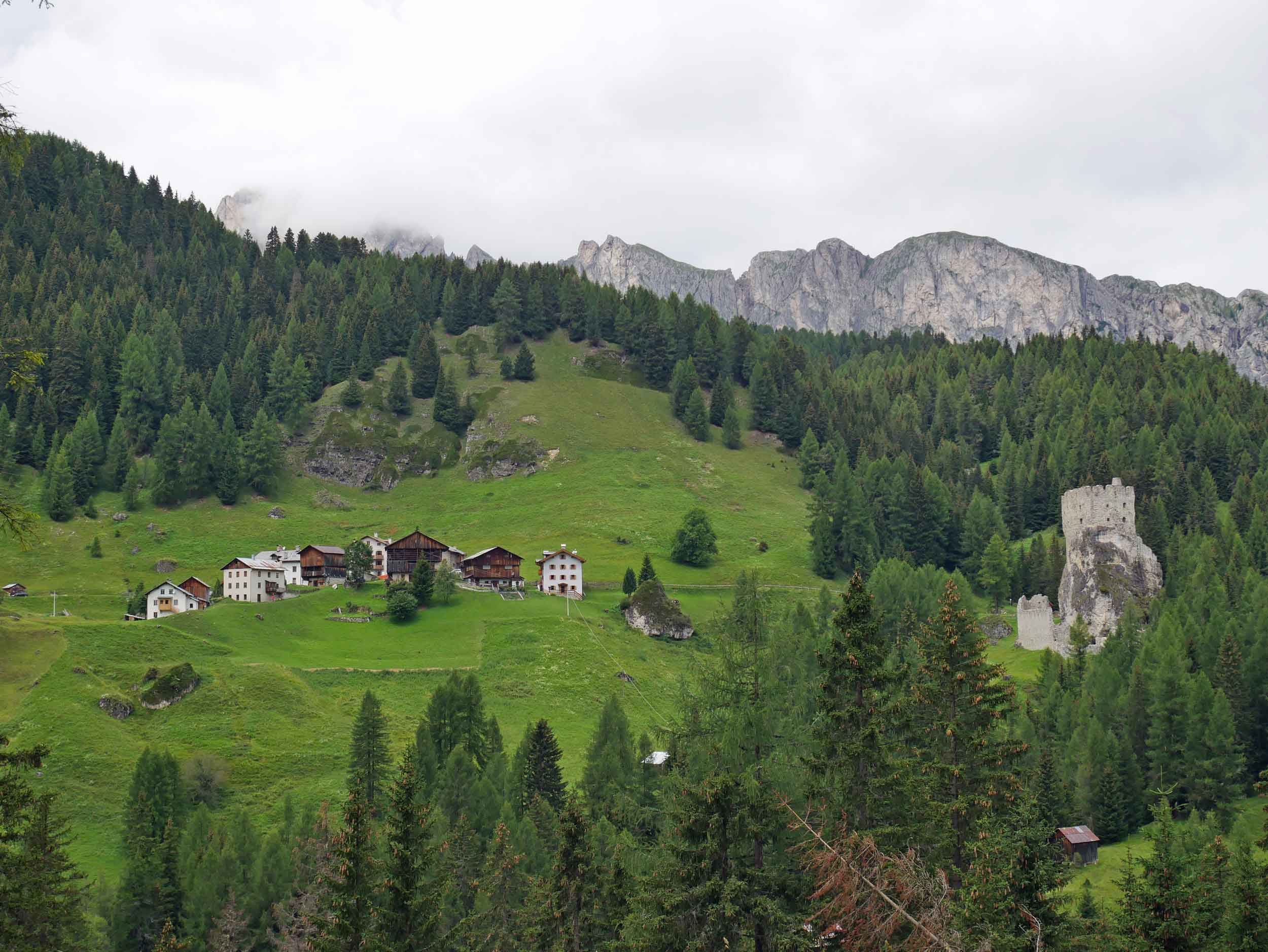  After the dry Tuscan landscape, we were amazed by the green valleys and lush pine-covered hills.&nbsp; 