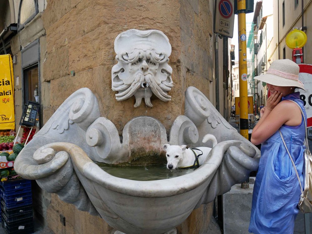  A classic Italian water fountain with an un-classy dog taking a bath.&nbsp; 