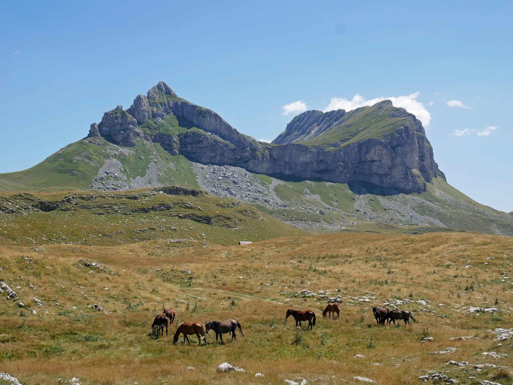  One of our favorite views was of Sedlena Greda peak (2,227m) with horses grazing in the fields below.&nbsp; 