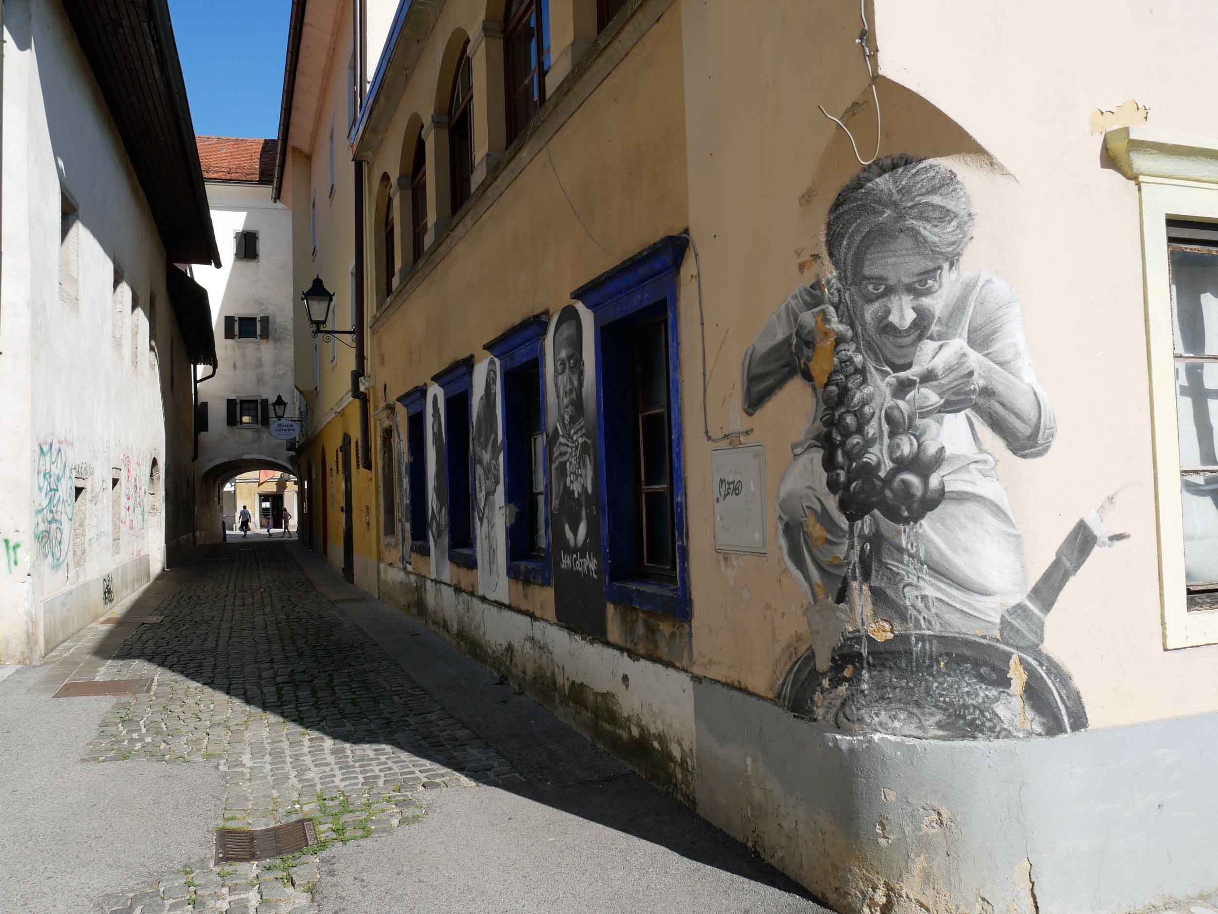  Just outside of the country's capital city, Kranj offered an alternative artsy side with street art, galleries and boutique shops.&nbsp; 
