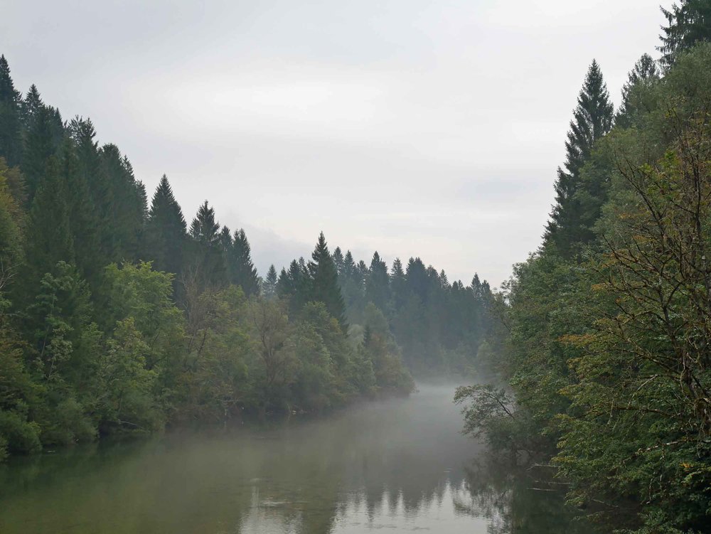  We were so happy to see rain and misty landscape later in the day!&nbsp; 