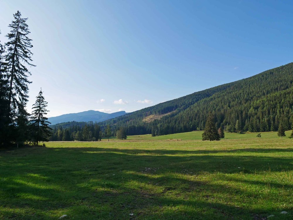  Driving along the country roads in the Western Tatras, we stopped to enjoy the gorgeous verdant valleys. 