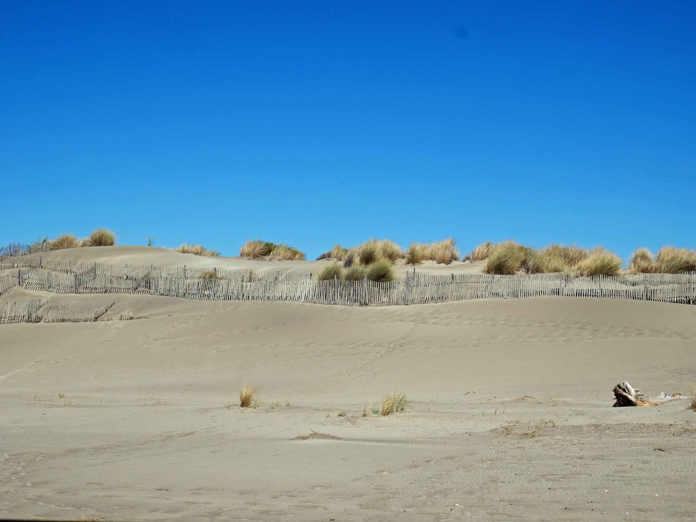  The stunning Camargue Park and Plage de l'Espiguette has miles of rugged coastline and protected dunes (Sept 13). 