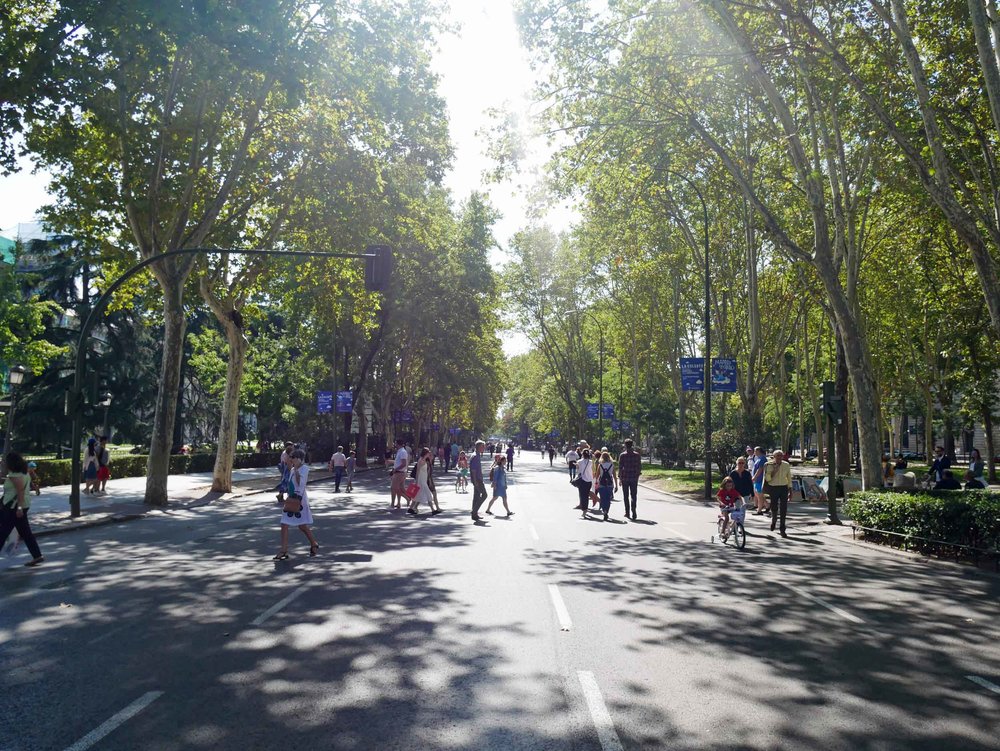  The Paseo del Prado, one of the main boulevards of Madrid, happened to be closed that morning to motor traffic allowing pedestrians to take to the streets! 