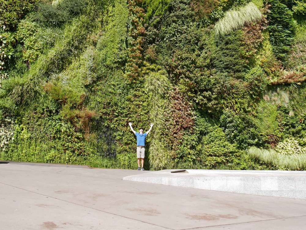  Martin trying to climb the Green Wall, a project of CaixaForum; it’s 24 metres high and contains 15,000 plants of more than 250 species. 