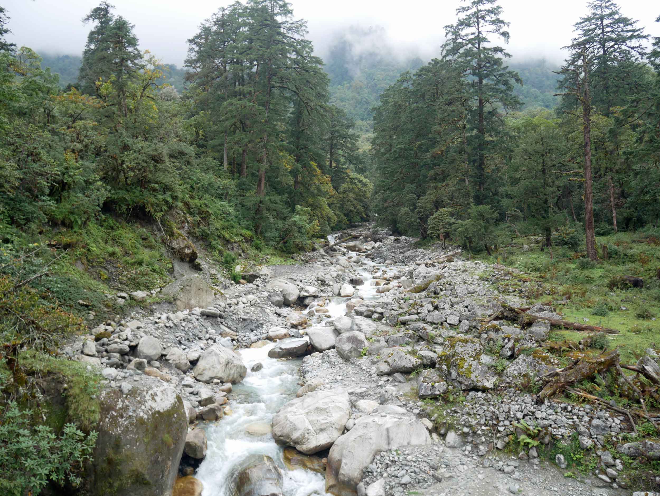  While October is considered the ‘dry season’ and optimal for hiking, we did manage to get a stray shower or two that first day, but we didn’t mind seeing that beautiful water flow! 