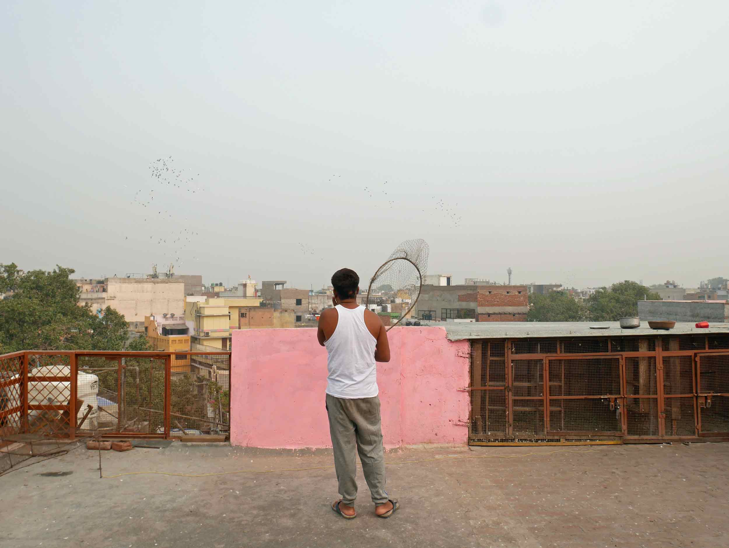 Pigeon gaming is a very competitive (and allegedly, highly addictive) sport that has keepers calling their flocks every morning from their roofs in Old Delhi.