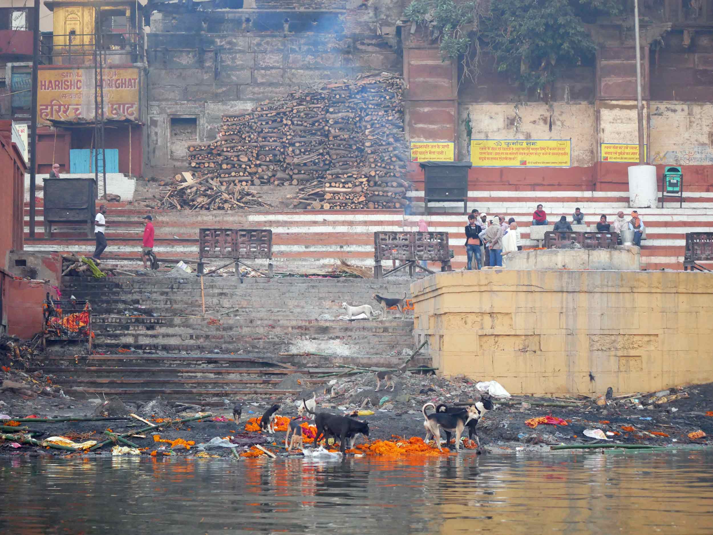  Stacks and stacks of wood are sold for cremation. 