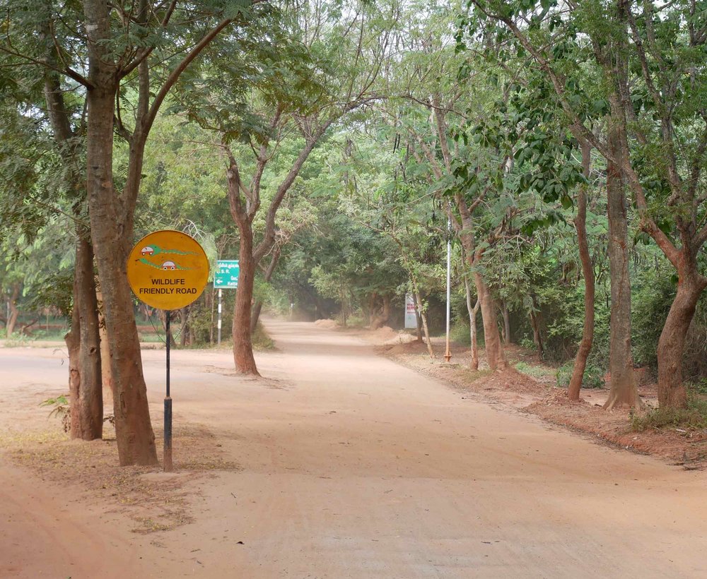  With rented motorbikes, we were free to explore the dusty roads of Auroville.&nbsp; 