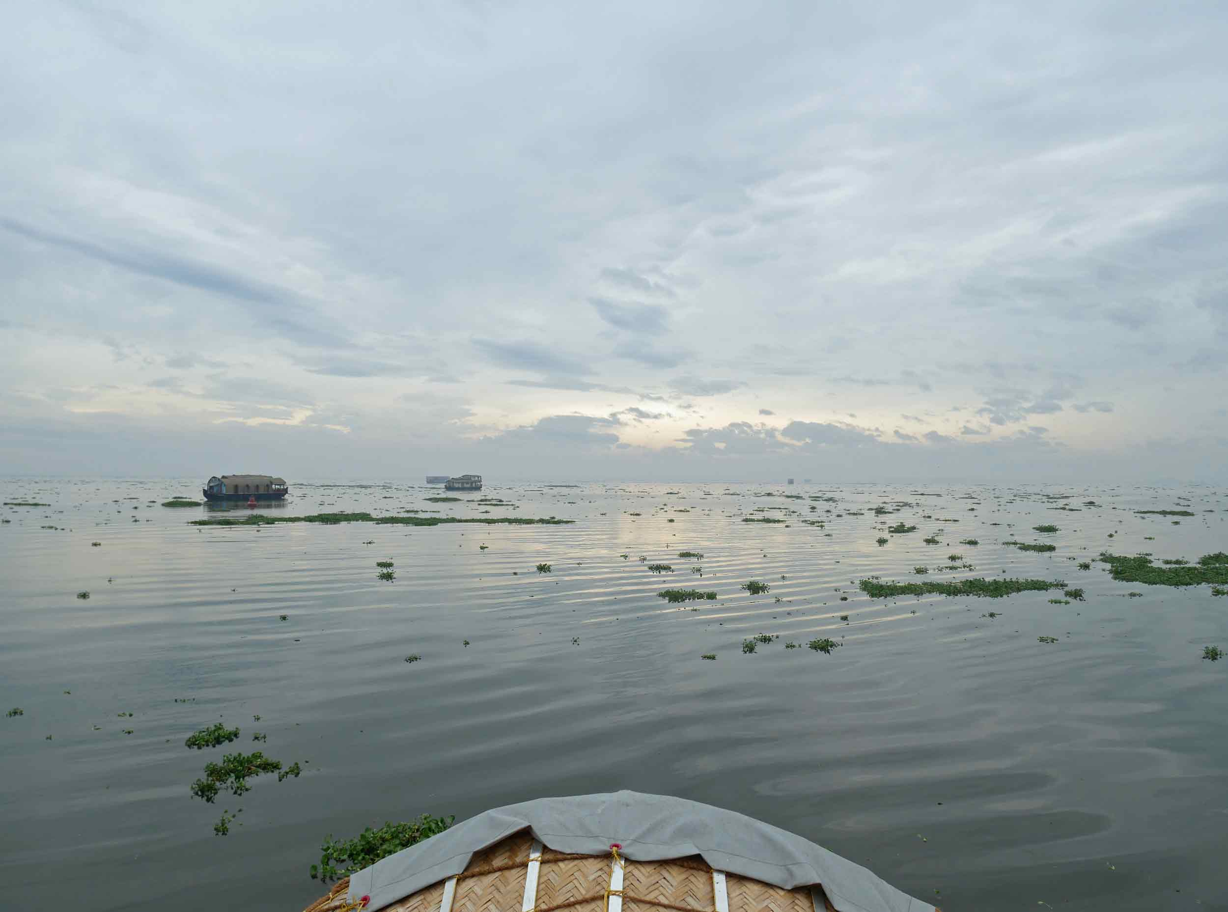  The view from our backwaters river boat cruise in Kerala (Nov 30). 