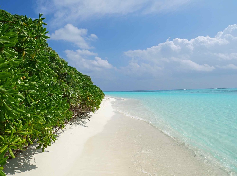  The white sand is a product of all the broken down coral that makes up the Maldives (Dec 6). 