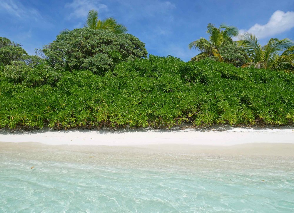  The entire island nation of the Maldives is on average just about four feet above sea level. 