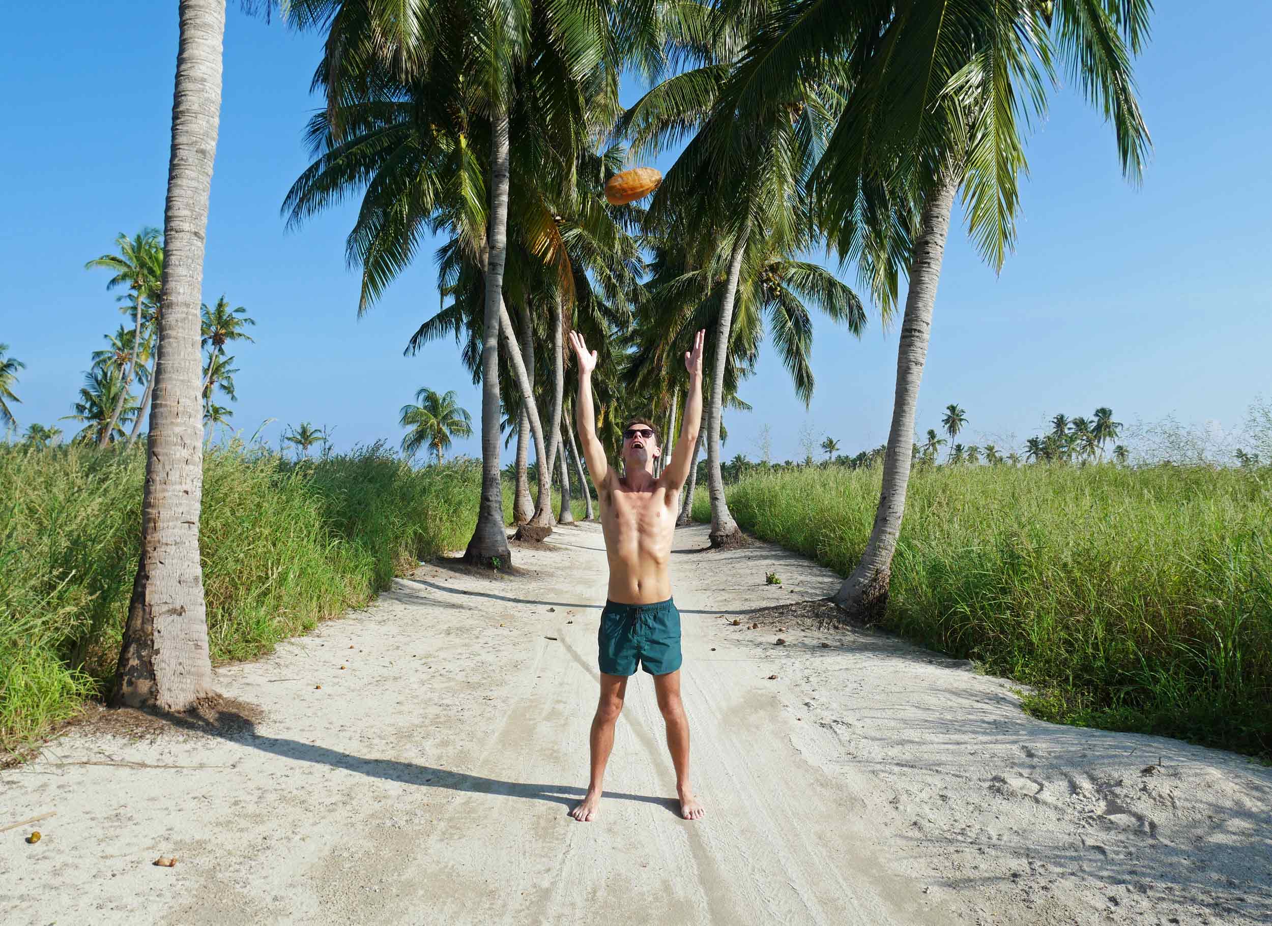  Watch out for falling coconuts! 