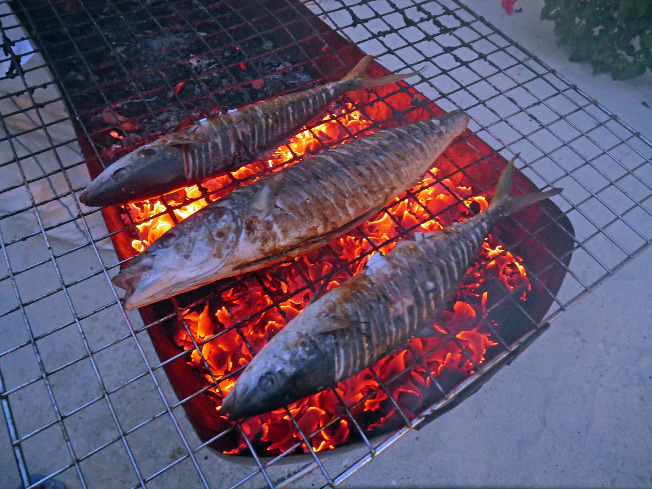  Grilled fresh caught fish for dinner?&nbsp; Yes, please!&nbsp; 