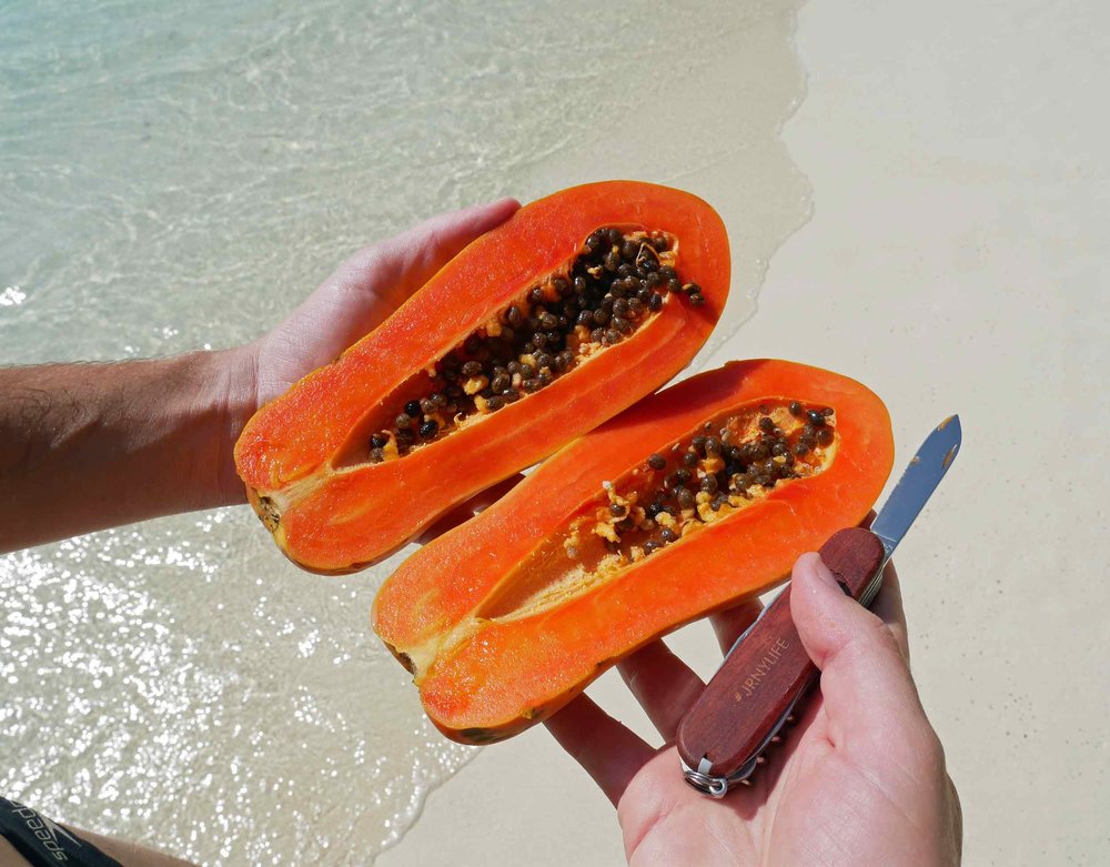  Snack time on the beach means locally grown papaya – served with the help of our trusty Swiss Army Knife (thanks Leah!). 