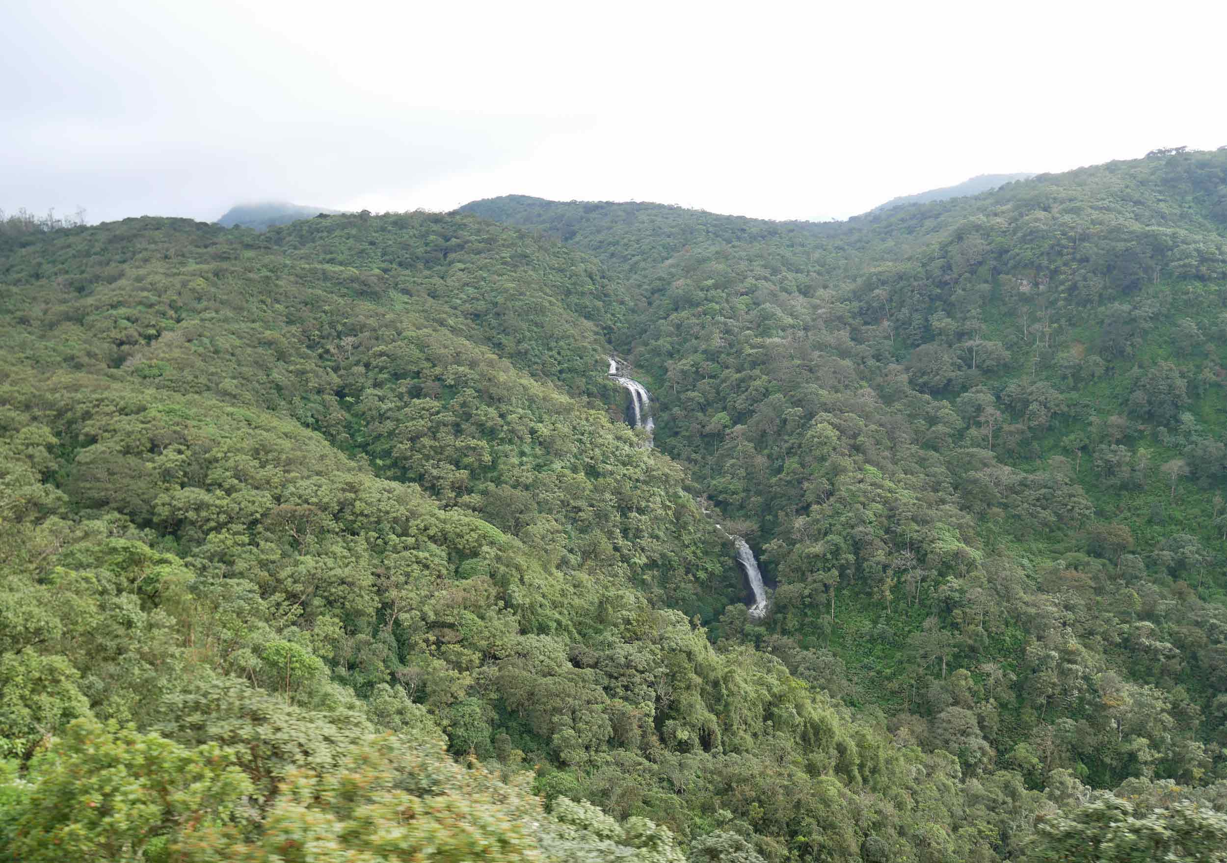  Waterfalls flowed a-plenty in this lush, verdant land. 