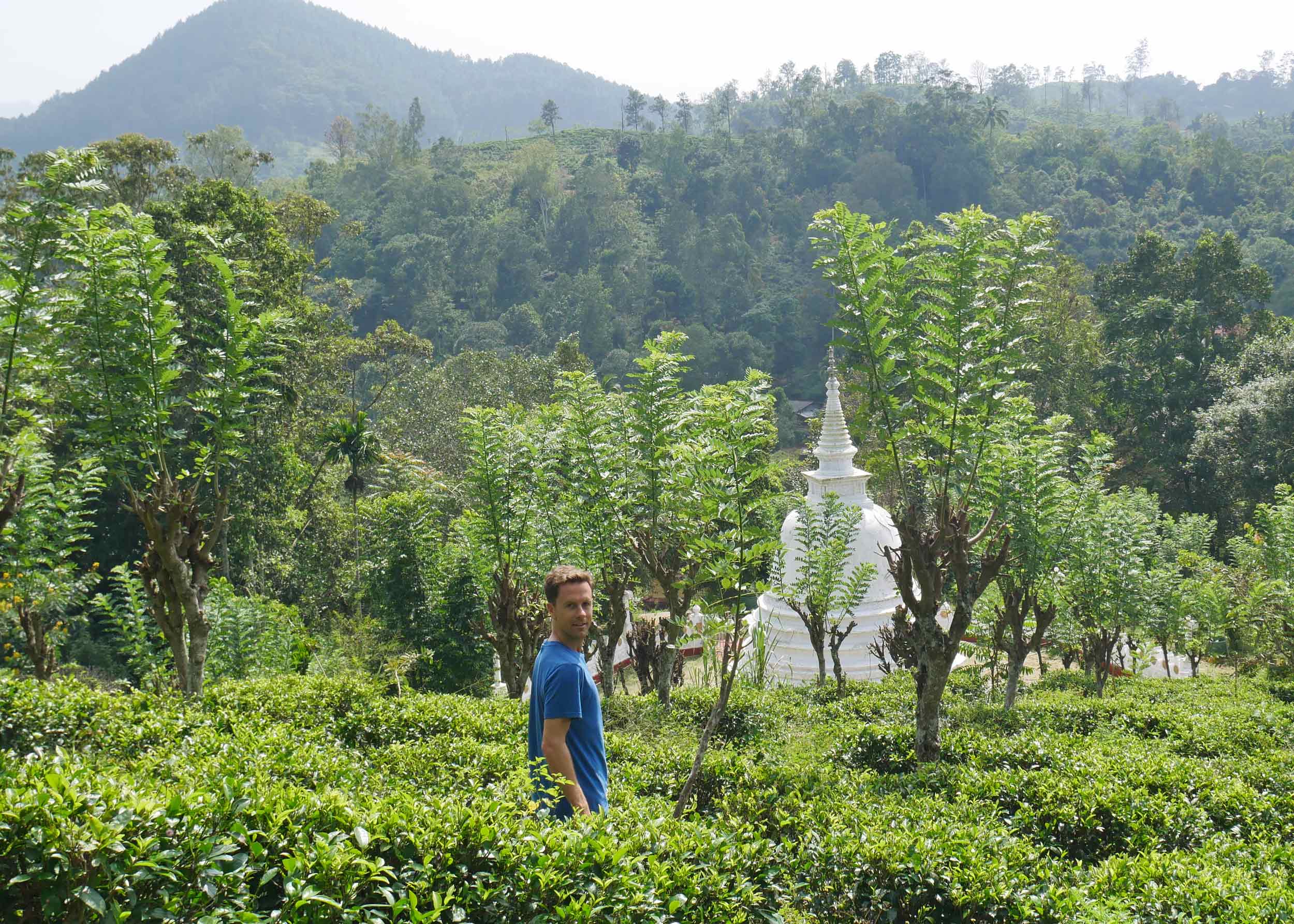 Martin got lost amongst the tea bushes surrounding this solid white Buddhist stupa.