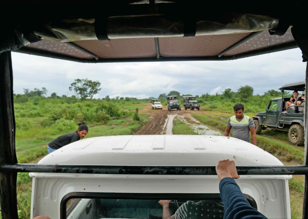  Our jeep managed to get stuck in the mud – thank goodness for helpful guides throughout the park! 