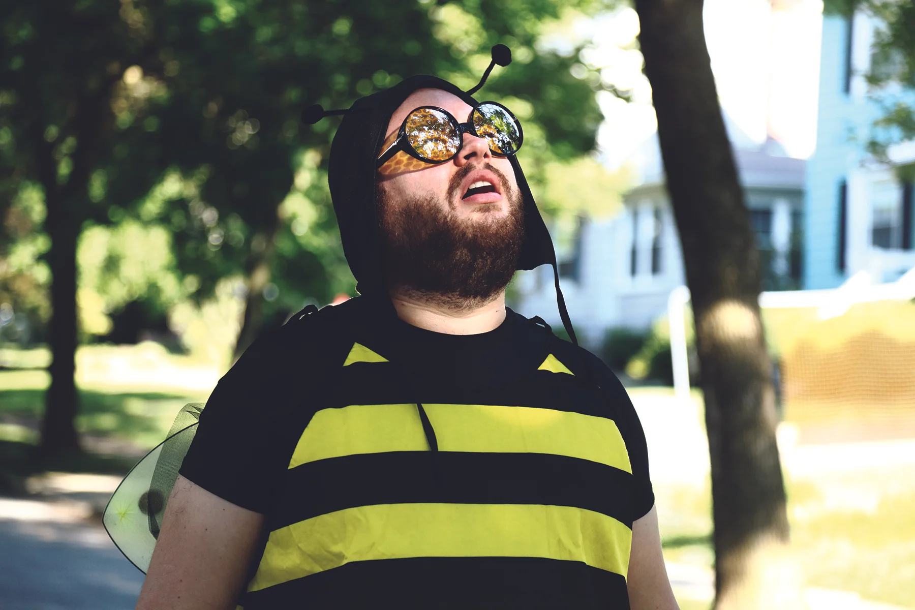 looking up.jpg