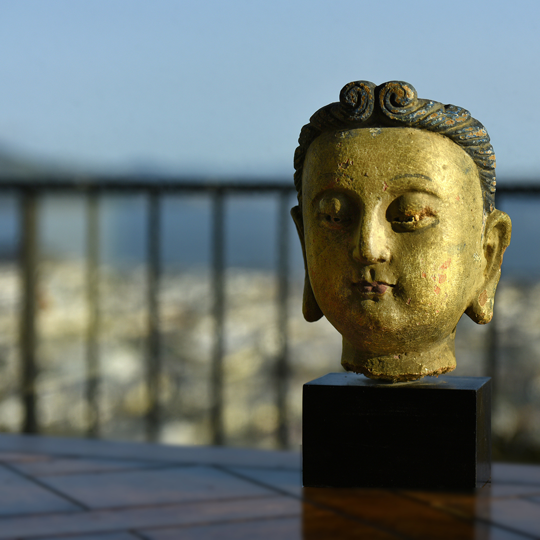  Mindful | Photo Credit: Emily Scott