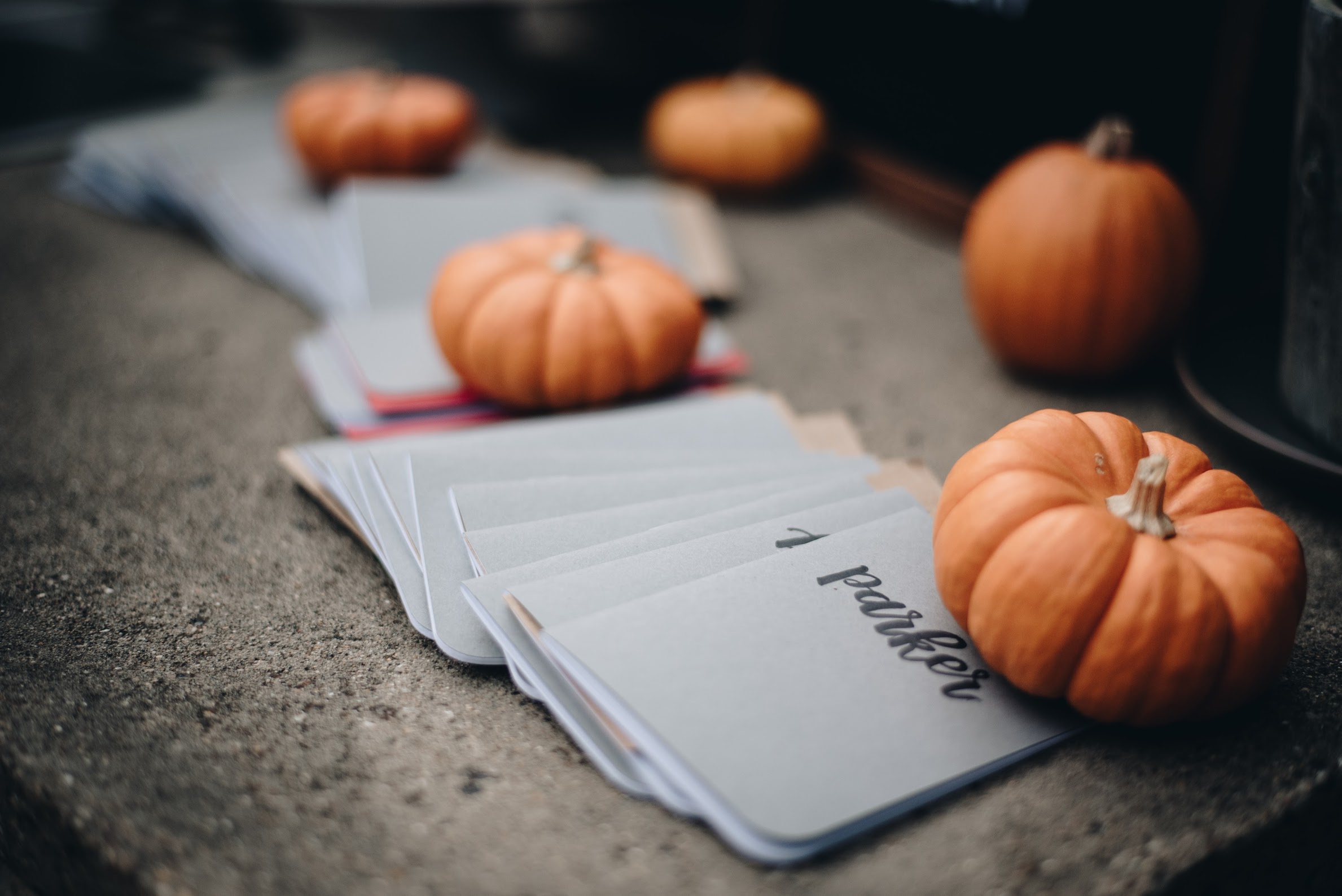 Gather+GrowFall2017-3.jpg