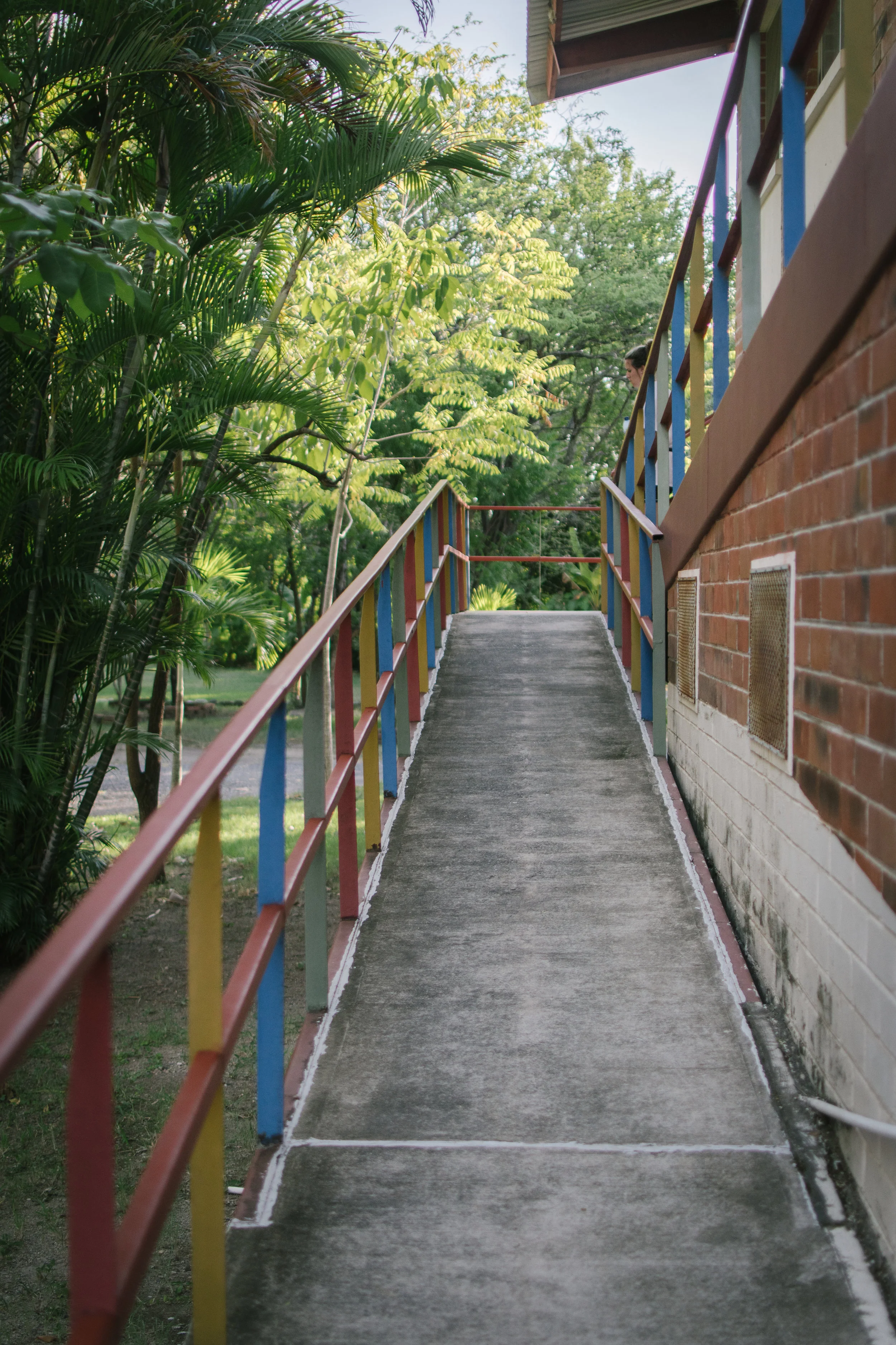 DSC_0244.jpg