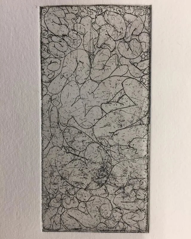 Tiny plate I have had grounded and in my pencil case for months. I went in and added some line work over the texture before spraying on an aquatint and step etching. The red proof features a surface roll. Definitely some issues with paper dampness or pressure but a fun refresher on spraying an aquatint nonetheless!
.
.
.
.
.
#etching #intaglio #print #printmaking #aquatint #contemporaryprintmaking #guts #intestine #drawing #greenprintmaking #zeamays