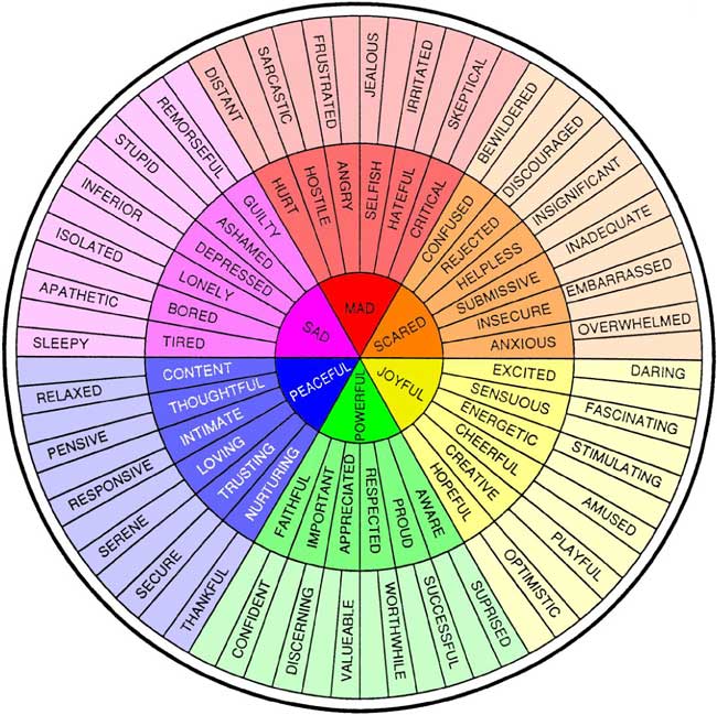 This is "The Feelings Wheel" by Dr. Gloria Willcox, it helps to identify the root of feelings by tracing back to one of the main emotions in the center of the chart.