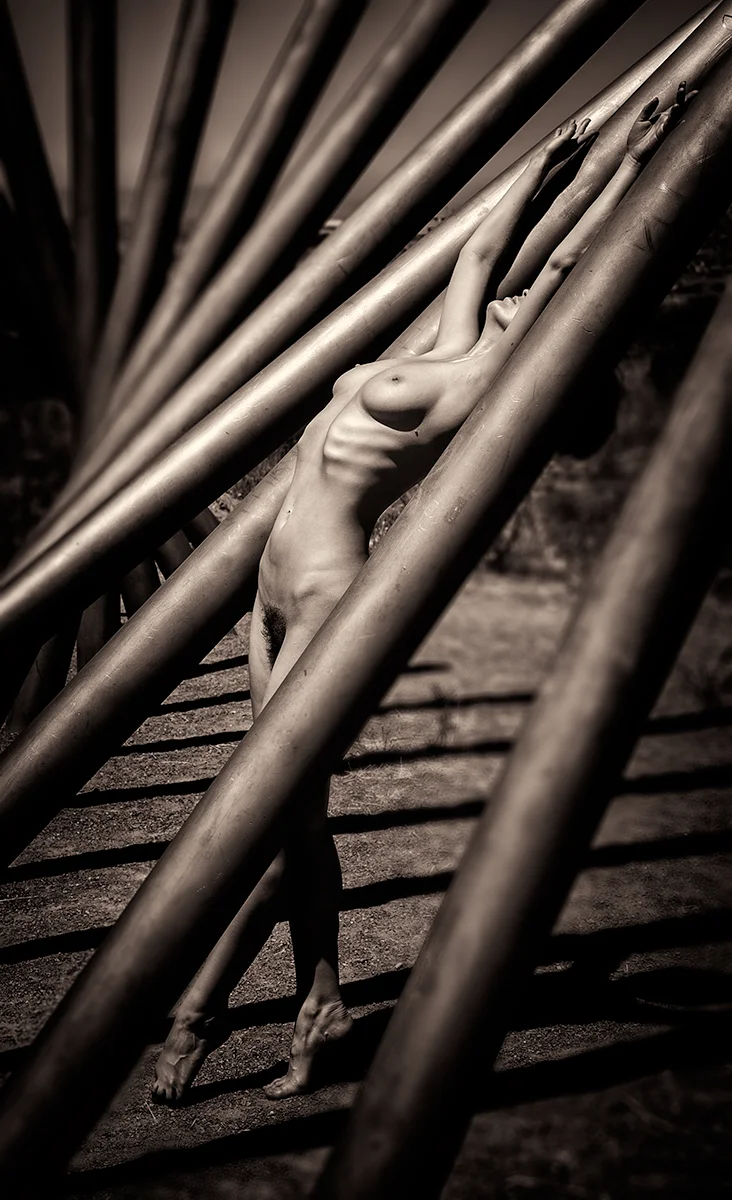 2015_07_28_Nymph.jpg