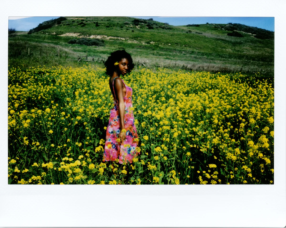 sari_polaroids001a.jpg
