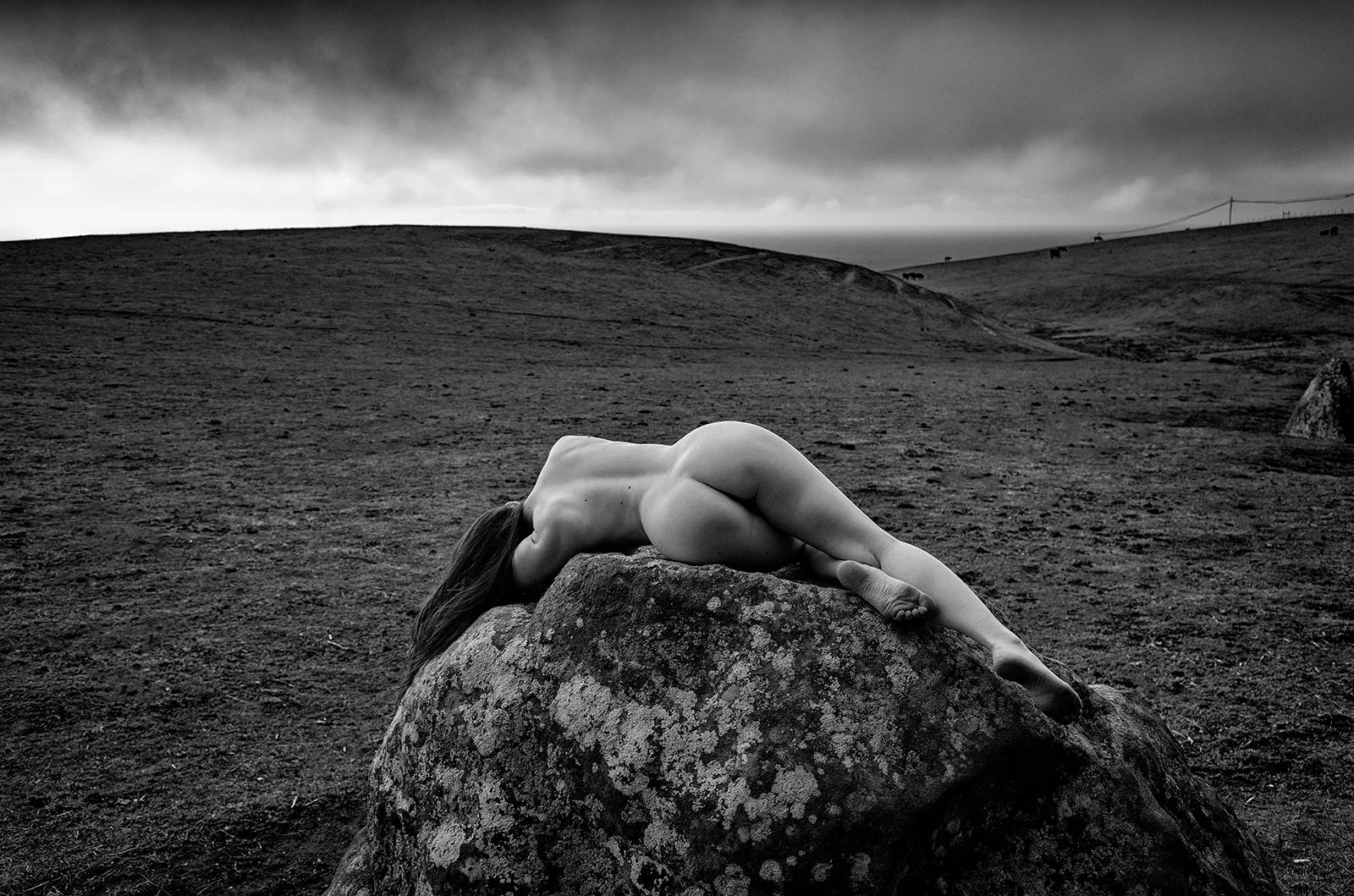 _DSC4116bw.jpg