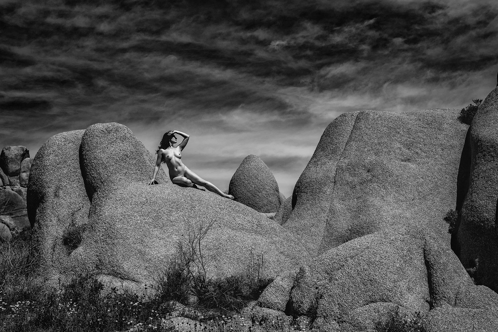 _DSC9960bw.jpg