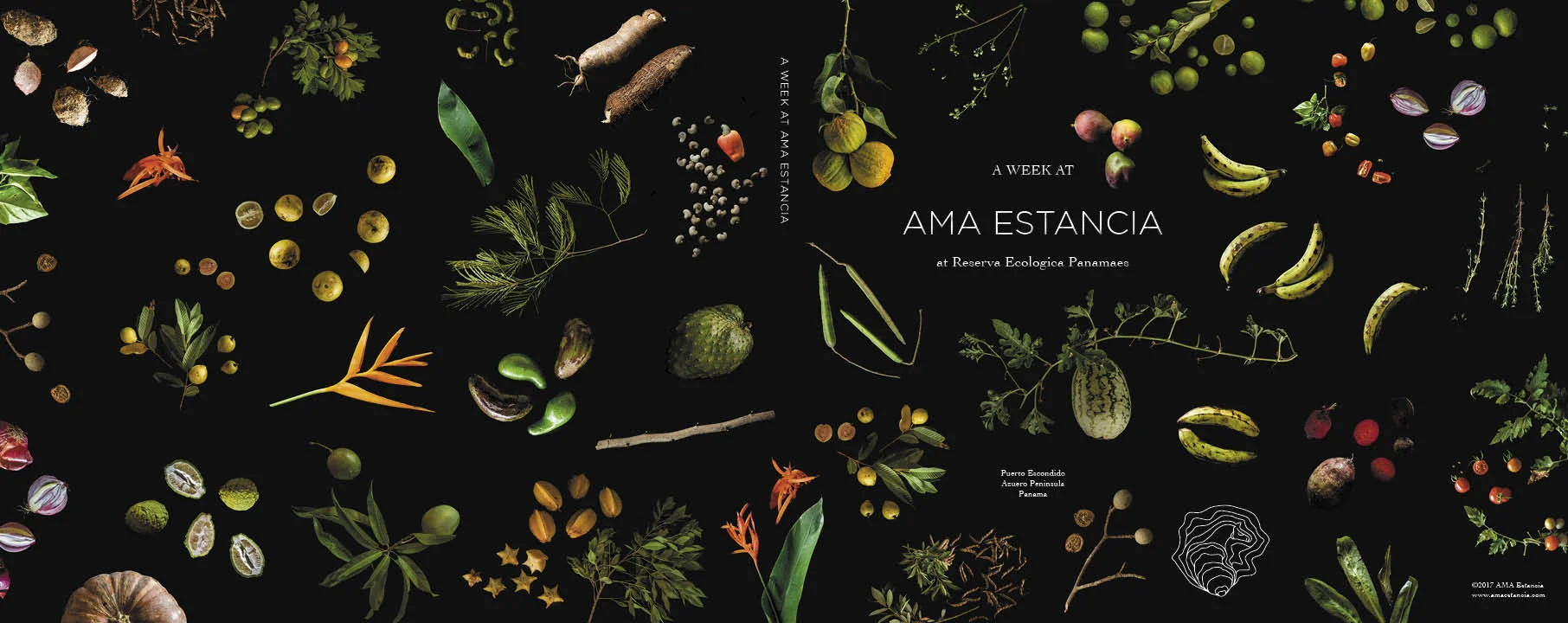 Dust Jacket