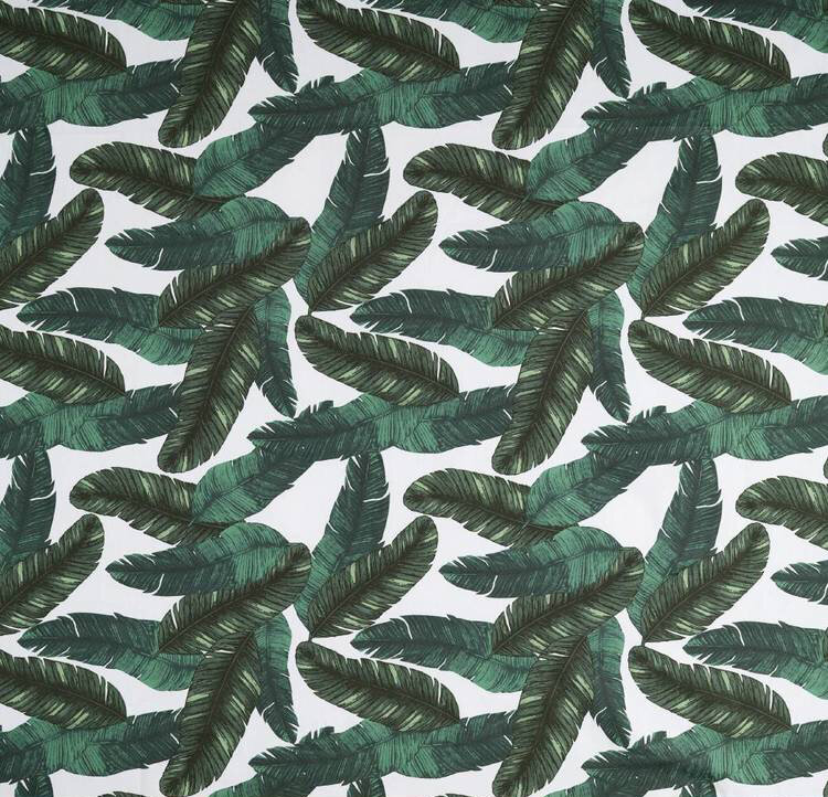 PalmLeaves.jpeg