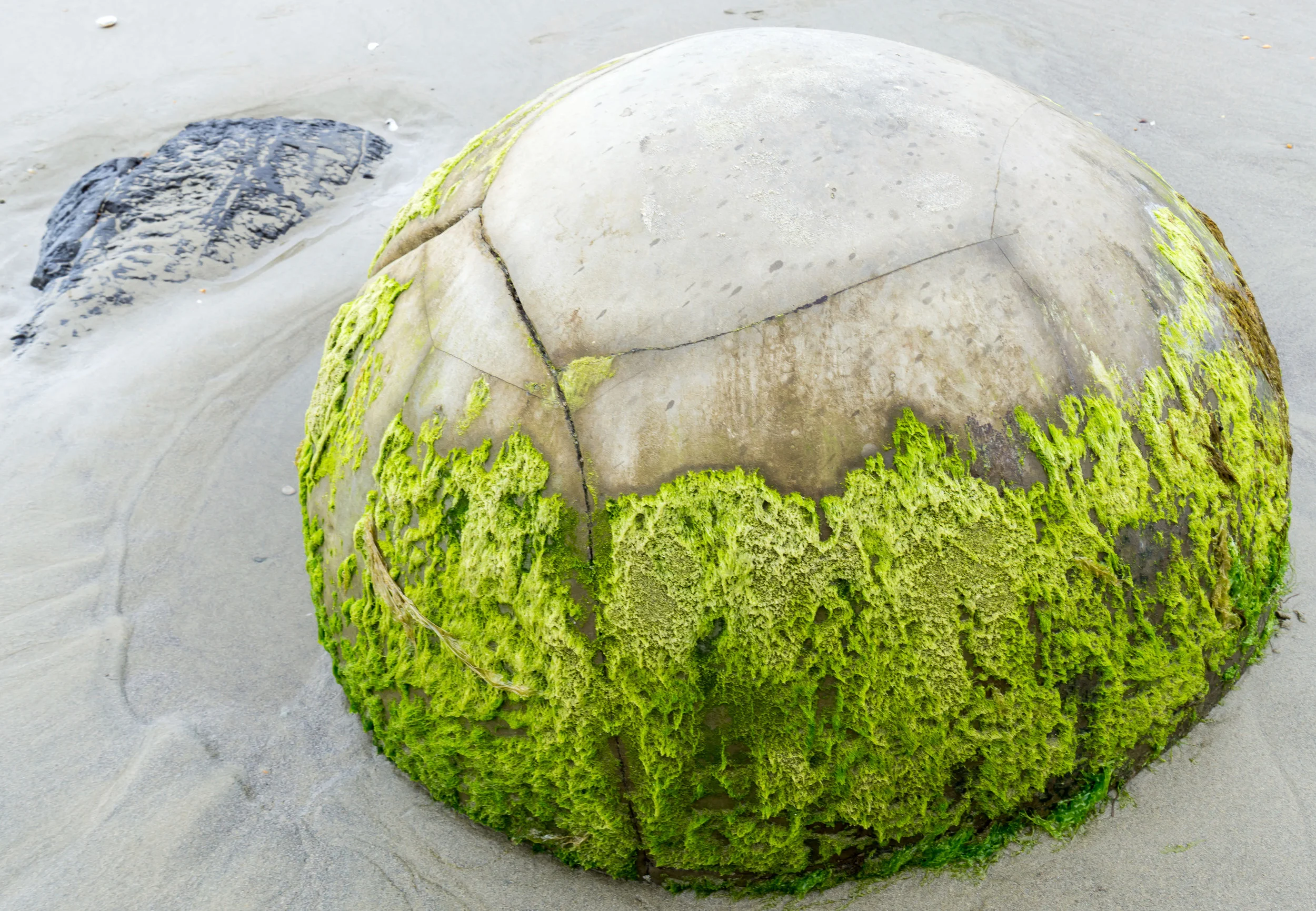 iStock_000057508364_XXXLarge-(1).jpg