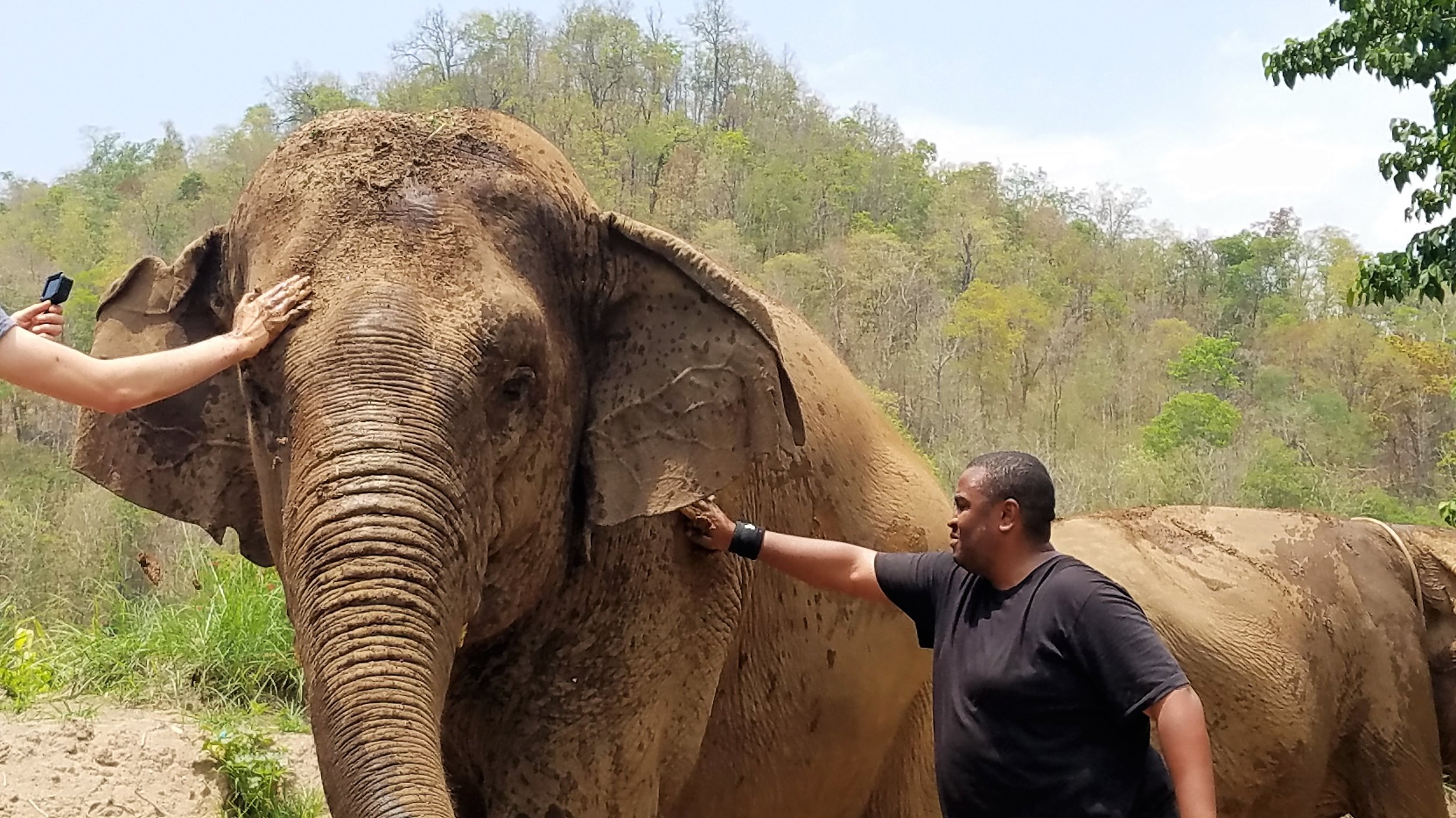 Walking With Gentle Giants