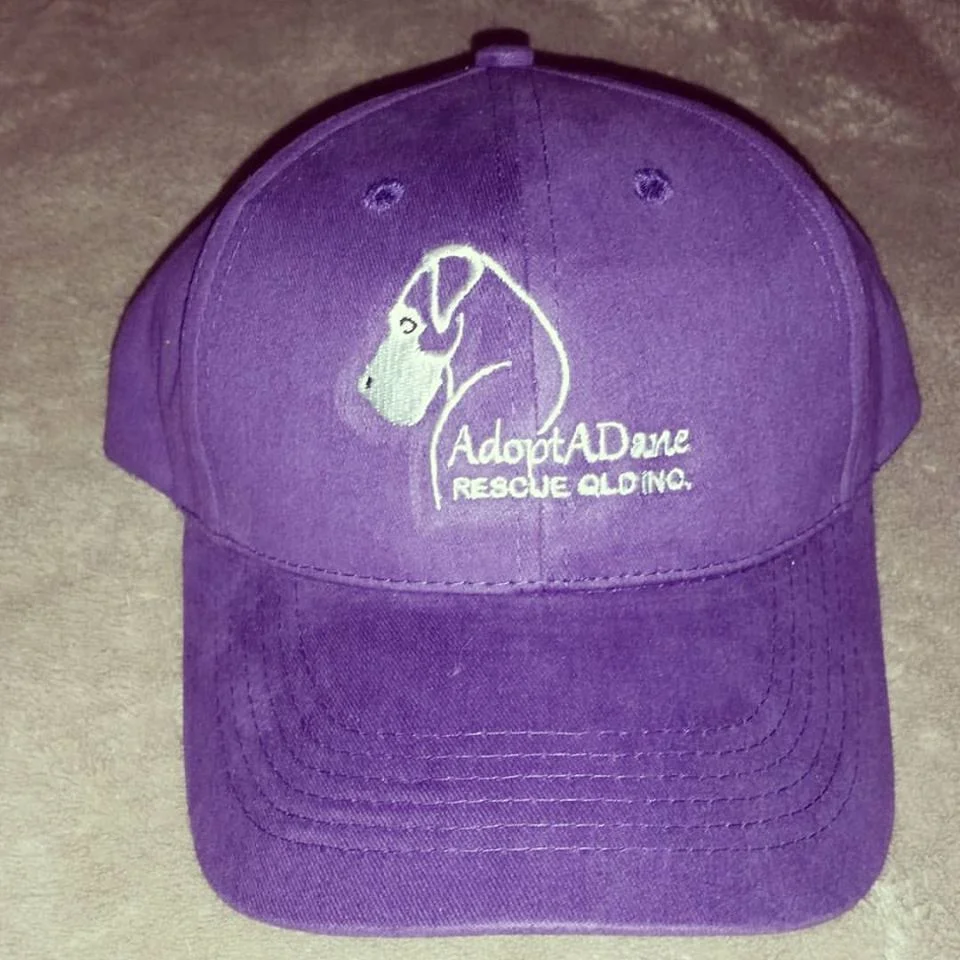 Cap - with embroidered Logo