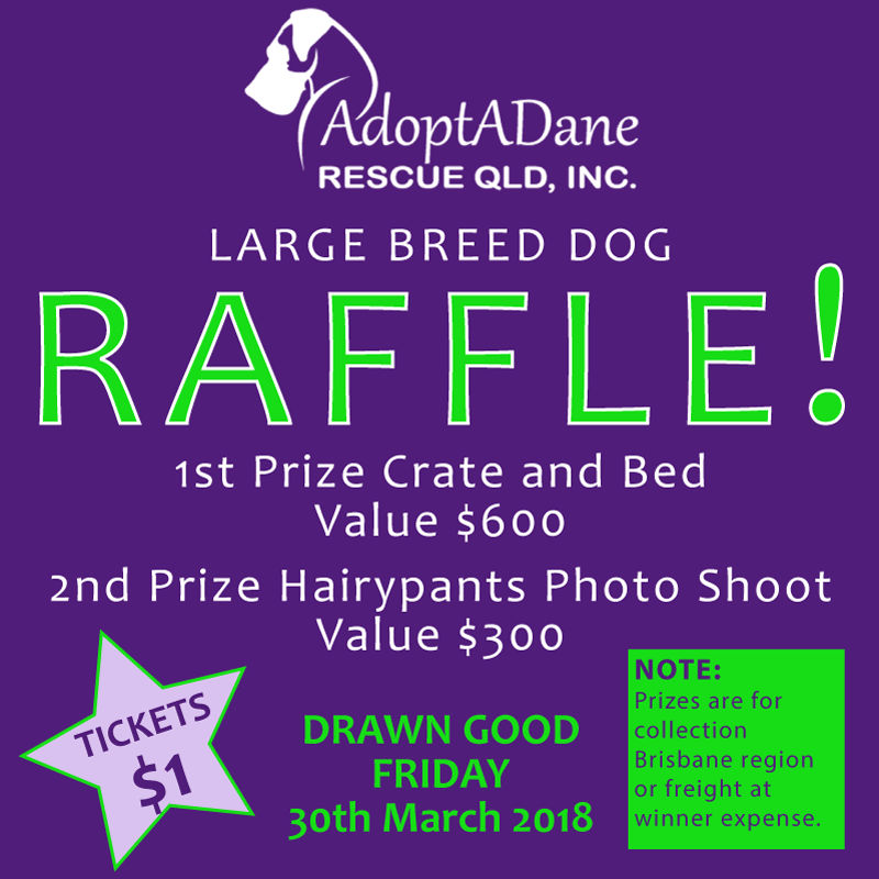 Adoptadane_Big_Dog_Raffle_Slide_End.gif
