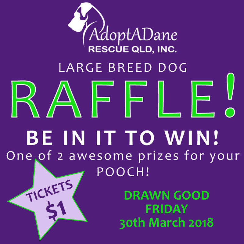 Adoptadane_Raffle_Crate.gif