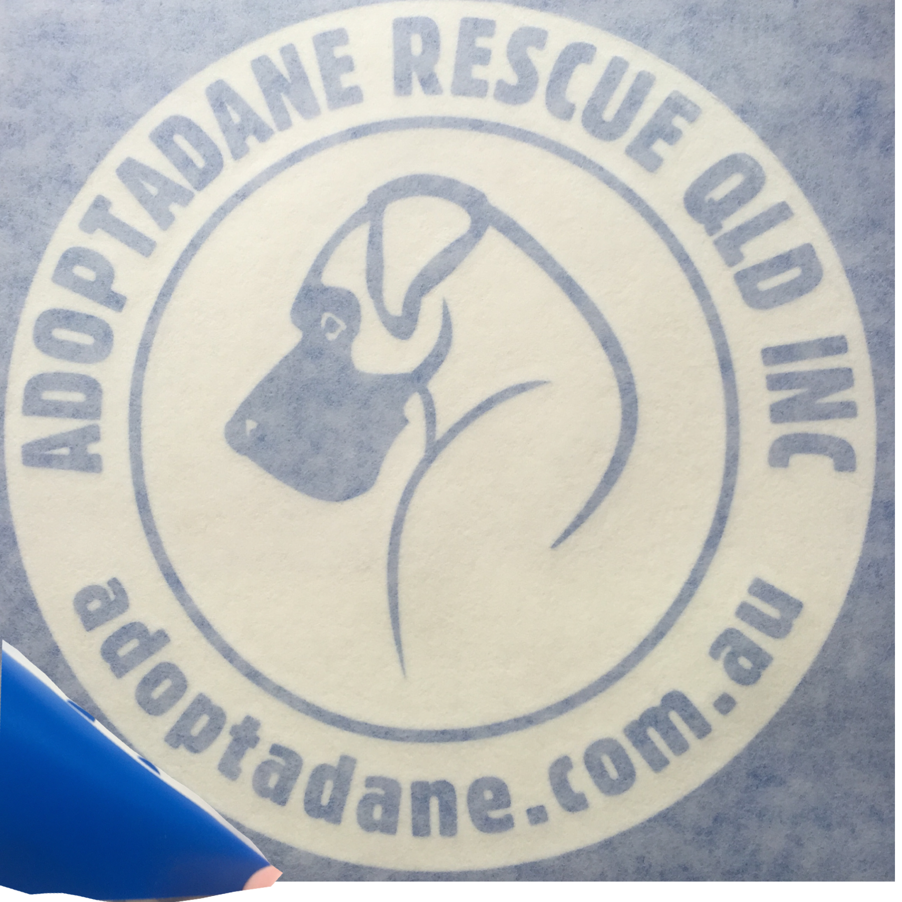 activitymore-3CD09D5E-0916-4A1A-AB7E-8D9D67BF04DC.png