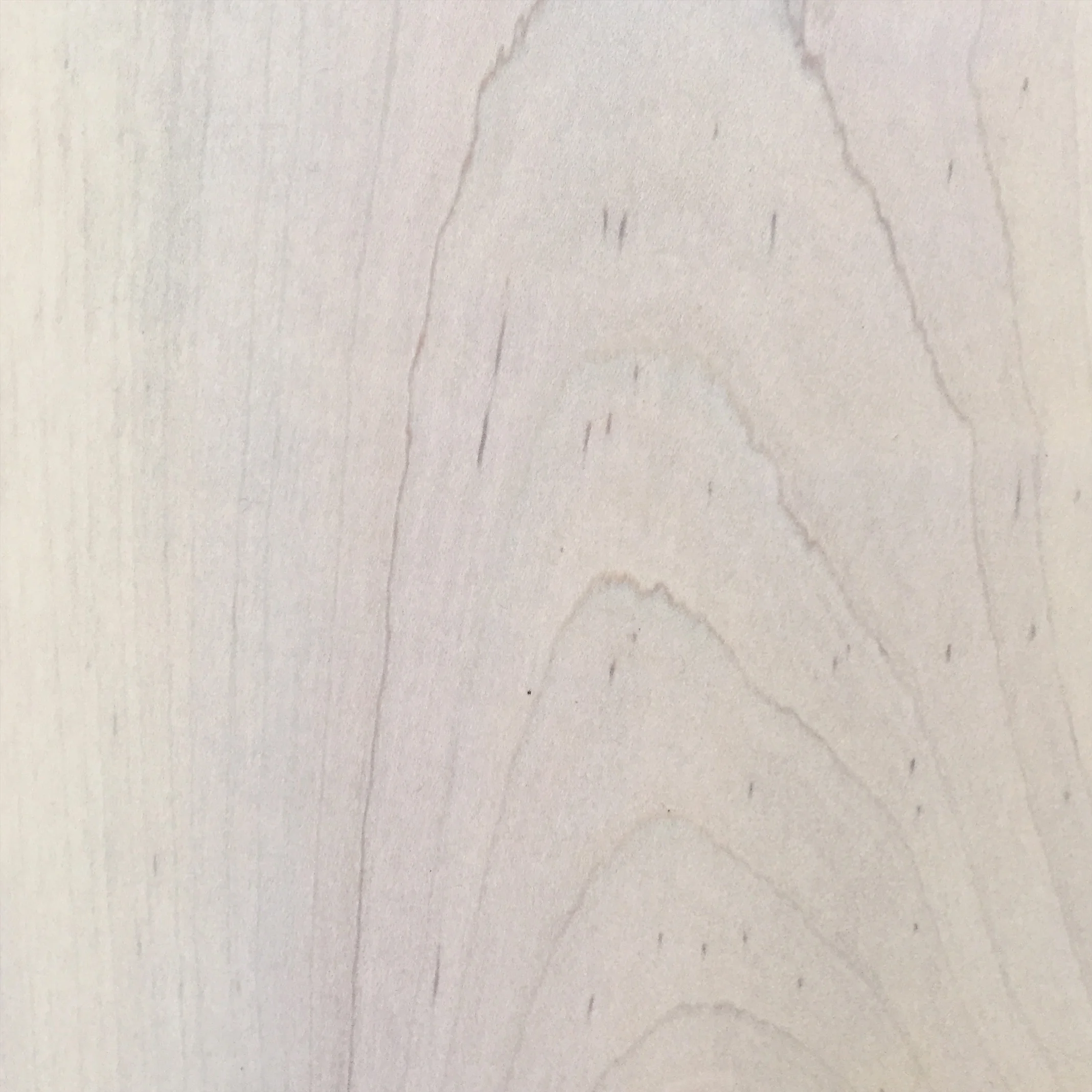 Maple - Bleached