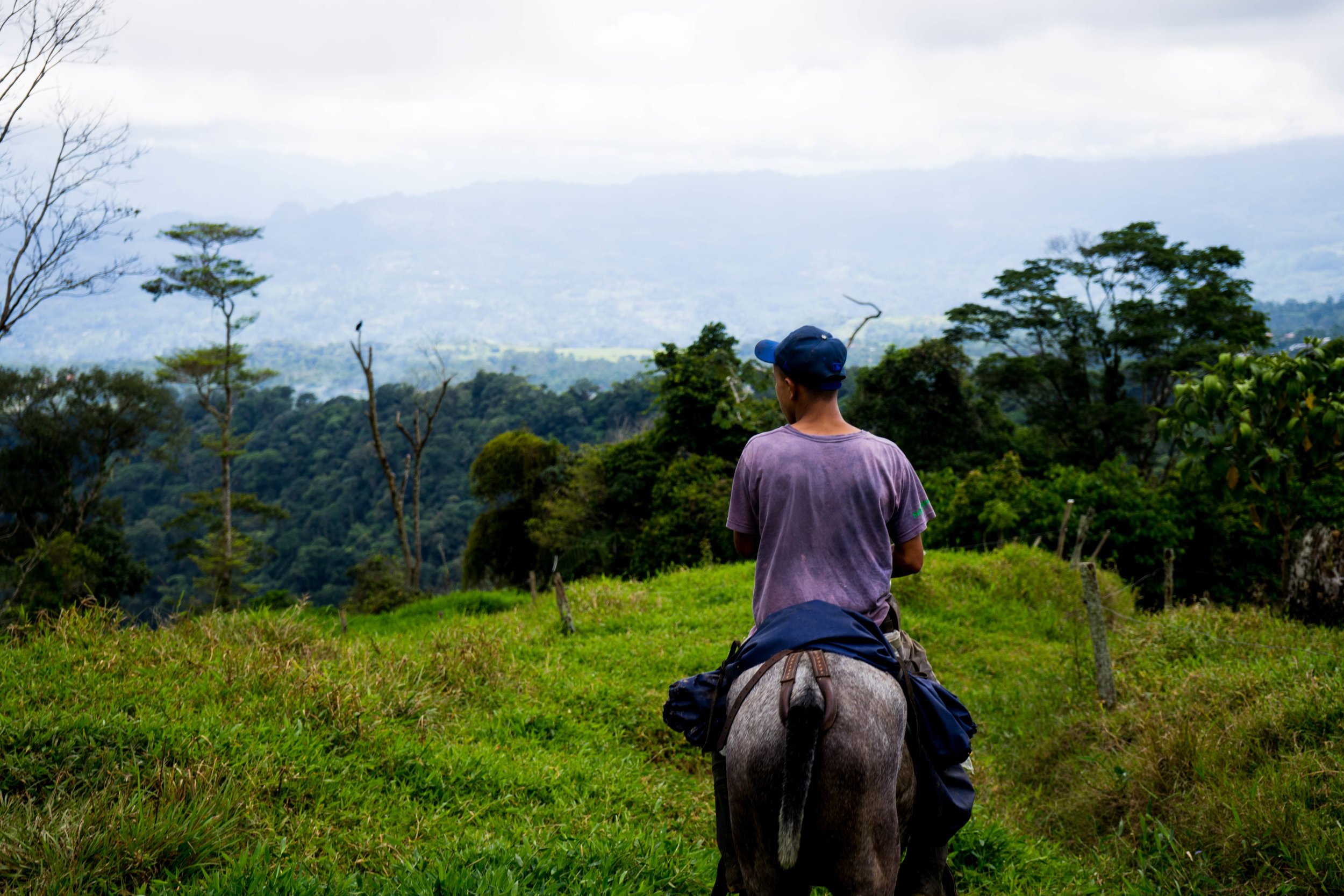 Local a caballo 8:00 am