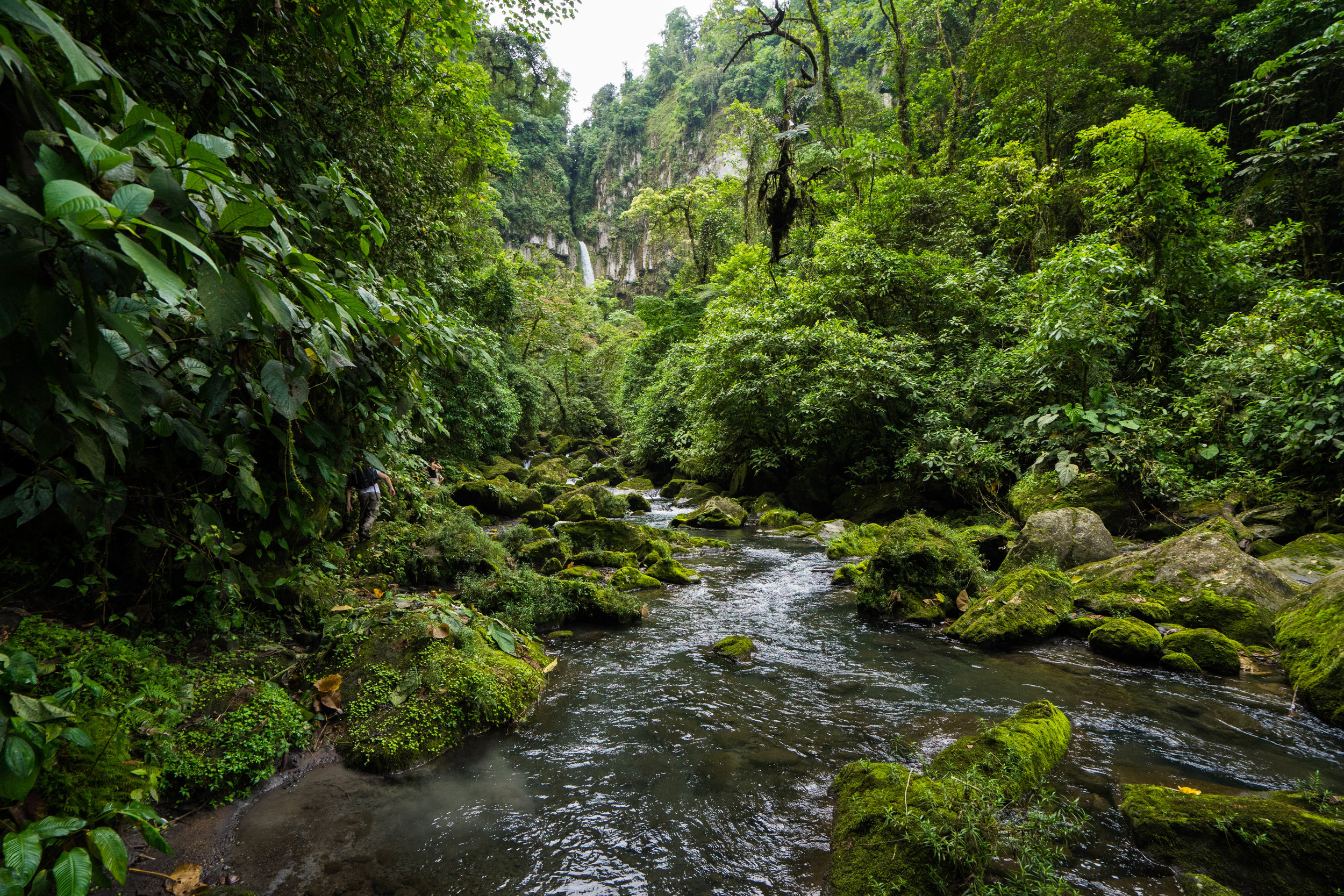 Rio Mercedes con Catarata al fondo