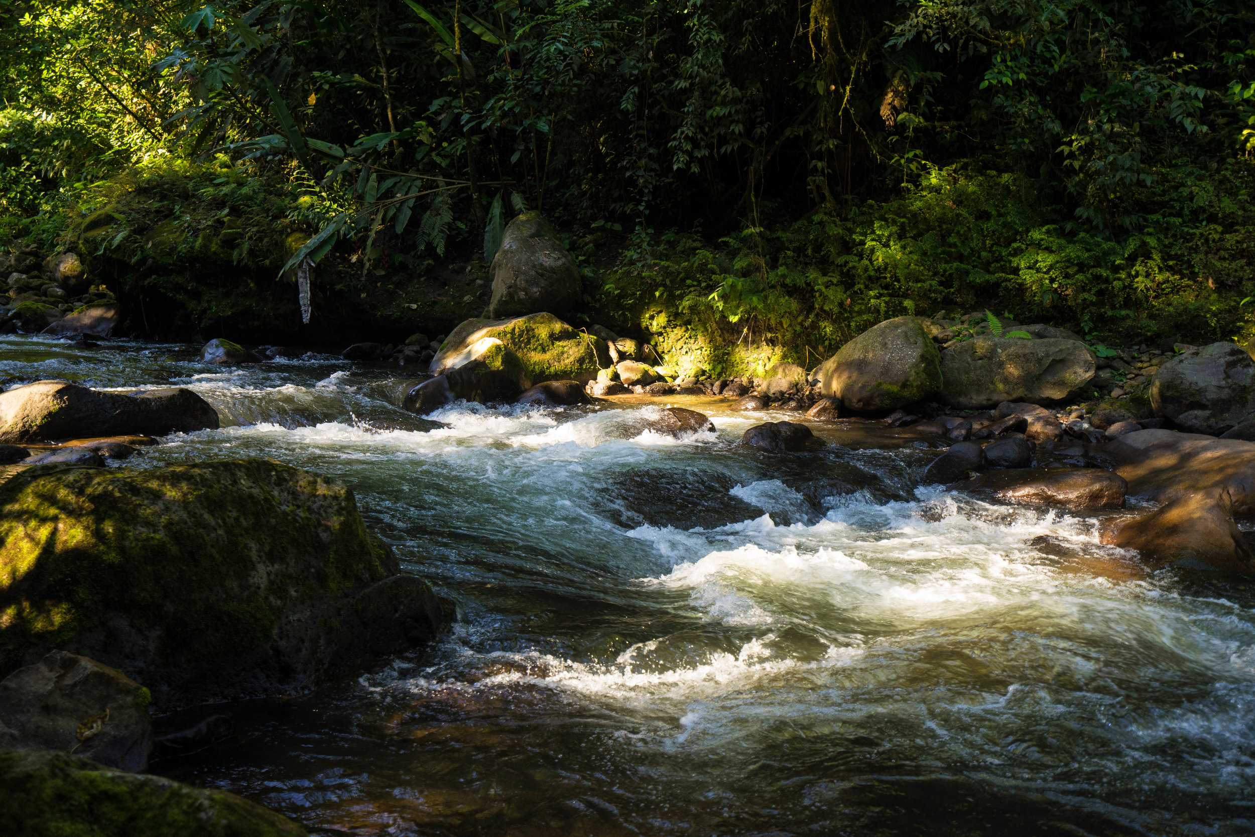 Colores del río