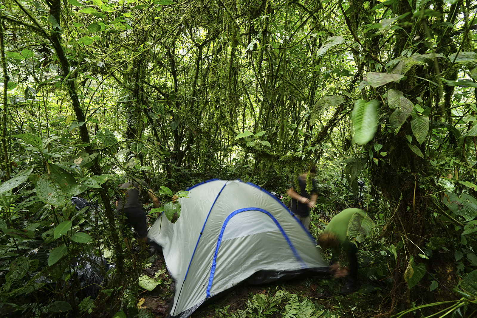 Montando el campamento