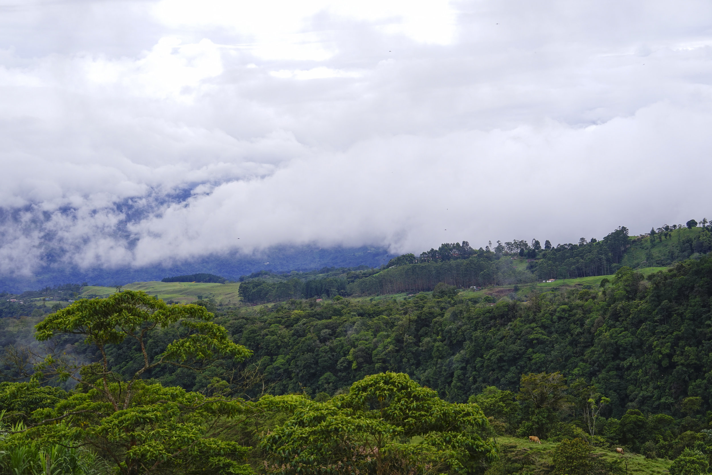vista del acantilado