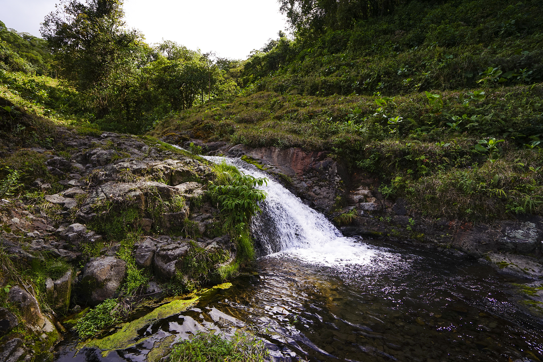 Pequeña catarata en el camino